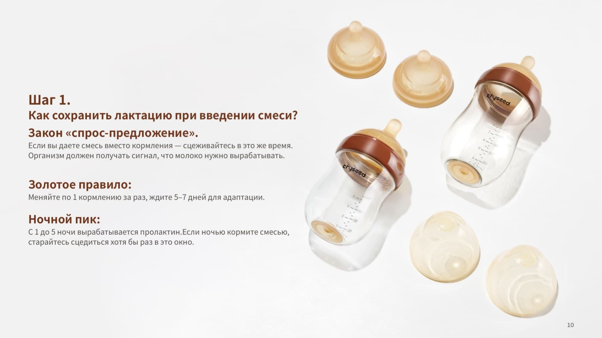 Страница 12 из 17
